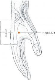 acupuncture pressure point